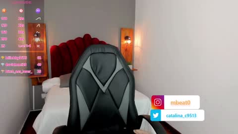 Snapshot of catalina_clark chatting on January 2025 03:26:01 PM Catalina online show from January 2025 03:26:01 PM