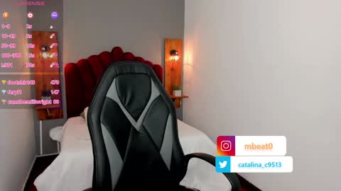 Snapshot of catalina_clark chatting on January 2025 02:51:02 PM Catalina online show from January 2025 02:51:02 PM