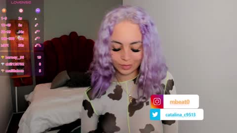 Snapshot of catalina_clark chatting on January 2025 03:39:01 PM Catalina online show from January 2025 03:39:01 PM