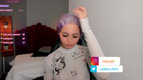 Snapshot of catalina_clark chatting on January 2025 05:51:02 PM Catalina online show from January 2025 05:51:02 PM