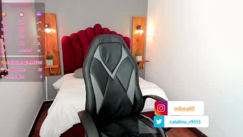 Snapshot of catalina_clark chatting on January 2025 03:40:01 PM Catalina online show from January 2025 03:40:01 PM