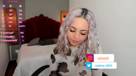 Snapshot of catalina_clark chatting on February 2025 03:05:01 PM Catalina online show from February 2025 03:05:01 PM