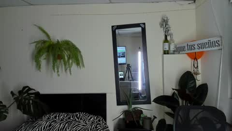 Cataina Lince online show from December 2024 11:09:01 PM