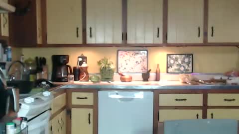 CATALYSTIC online show from February 2025 09:04:02 AM