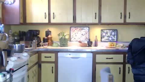 CATALYSTIC online show from February 2025 02:11:02 PM