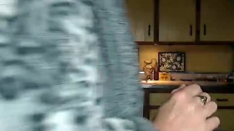 CATALYSTIC online show from September 2025 10:31:01 PM