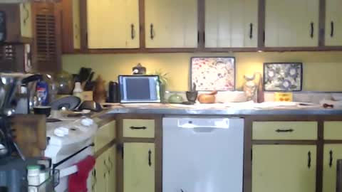 CATALYSTIC online show from October 2025 10:38:01 AM