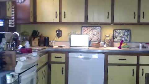 CATALYSTIC online show from November 2025 07:58:02 PM