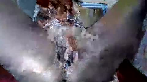 cathycrystal online show from January 2026 07:51:02 PM