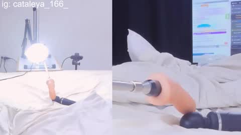 Snapshot of cattleya_annie chatting on February 2025 02:06:01 AM Cattleya Annie online show from February 2025 02:06:01 AM