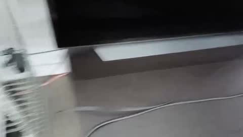 Snapshot of cbg65 chatting on February 2026 10:47:01 PM cbg65 online show from February 2026 10:47:01 PM