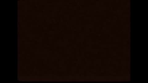 cd_susin online show from December 2024 10:51:01 PM