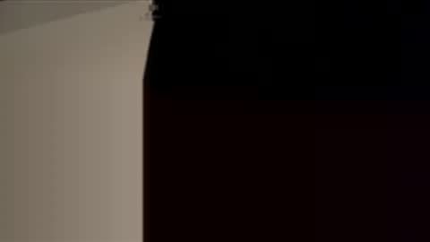 cece_vibez online show from January 2026 01:09:02 AM