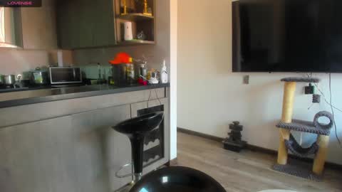 mia  sofiabohorquez INSTAGRAM online show from January 2025 06:51:01 PM