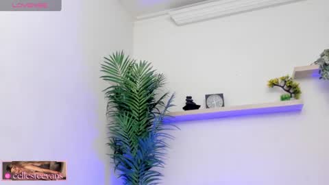 Celeste  online show from March 2025 07:28:02 PM