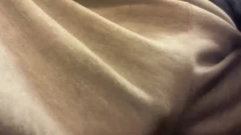 centaur629 online show from January 2025 12:59:01 AM