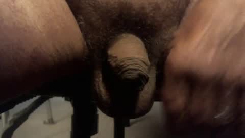 centaur629 online show from June 2026 01:54:02 PM
