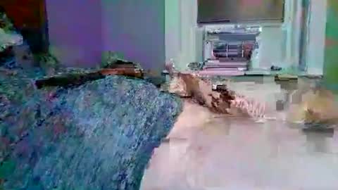 Snapshot of cervixpainter27 chatting on November 2025 01:40:02 AM cervixpainter27 online show from November 2025 01:40:02 AM