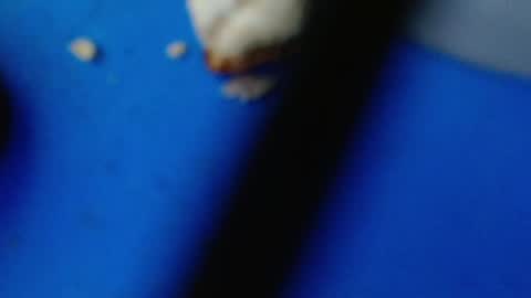 Snapshot of cguffey2284 chatting on March 2025 04:24:02 AM cguffey2284 online show from March 2025 04:24:02 AM