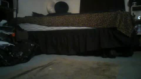 GigaChad online show from June 2026 04:55:01 AM