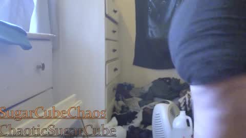 Snapshot of chaoticsugarcube chatting on January 2025 11:38:02 PM chaoticsugarcube online show from January 2025 11:38:02 PM