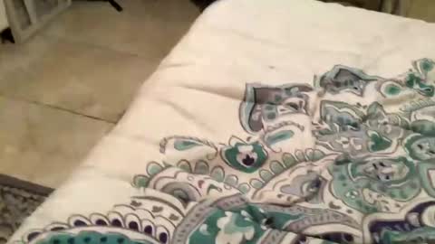 Snapshot of charliebroun chatting on February 2025 06:15:02 AM charliebroun online show from February 2025 06:15:02 AM