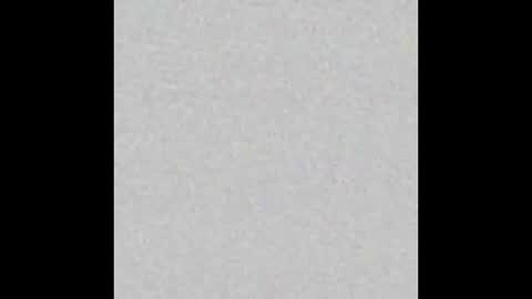 Charlotte online show from September 2025 02:54:01 PM