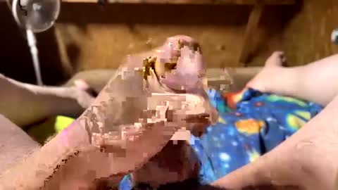 chasepeewee2 online show from February 2025 03:58:02 AM