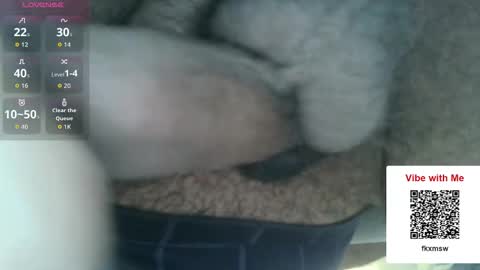 Fun With Daddys Dick Fantacy Room online show from December 2025 05:19:02 PM