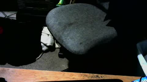 chefy online show from January 2025 10:47:01 AM