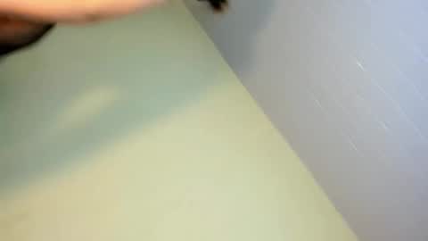 Snapshot of cherrybitex chatting on February 2026 12:12:01 PM cherrybitex online show from February 2026 12:12:01 PM