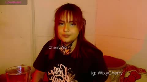 Snapshot of cherrywix chatting on December 2024 03:59:02 AM cherrywix online show from December 2024 03:59:02 AM