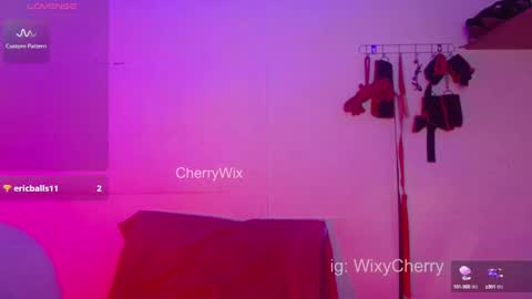 Snapshot of cherrywix chatting on January 2025 02:09:01 AM cherrywix online show from January 2025 02:09:01 AM