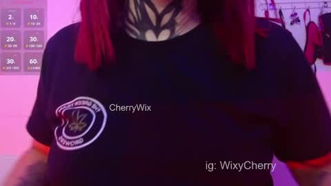 Snapshot of cherrywix chatting on February 2025 02:34:01 AM cherrywix online show from February 2025 02:34:01 AM