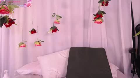 Snapshot of cherylfoster_ chatting on February 2025 12:16:01 AM cherylfoster_ online show from February 2025 12:16:01 AM