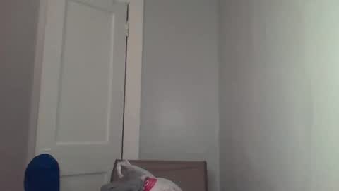 chocolatedolla online show from March 2025 02:27:02 AM