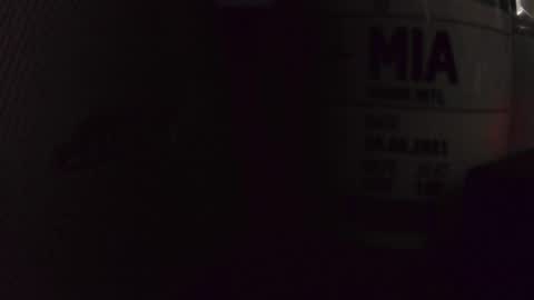 chrisatmiami448 online show from October 2025 07:03:02 PM