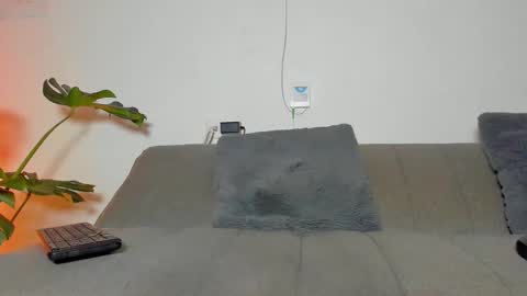 Snapshot of christopher_park chatting on February 2025 06:11:02 AM Christopher online show from February 2025 06:11:02 AM