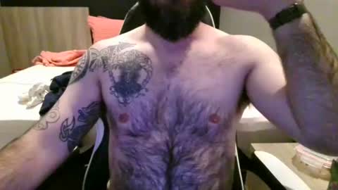 chub bear 99 online show from July 2026 03:13:01 AM