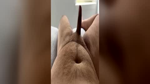 Snapshot of chubbydick9069 chatting on June 2026 04:20:01 PM chubbydick9069 online show from June 2026 04:20:01 PM