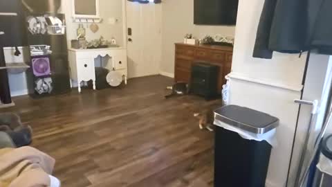 ChubbyHubby420 online show from September 2025 01:44:02 PM