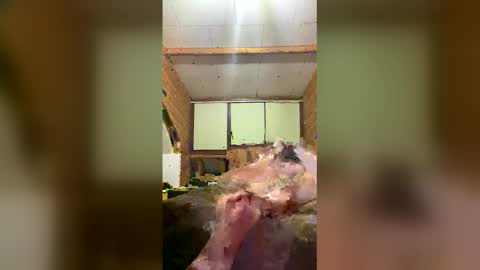 Snapshot of chzljqzbysno chatting on January 2026 12:22:02 PM chzljqzbysno online show from January 2026 12:22:02 PM