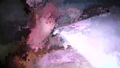 cicuta15 online show from March 2026 01:10:02 AM