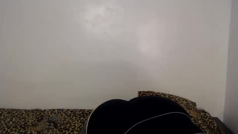 Cindy online show from January 2025 09:25:01 PM