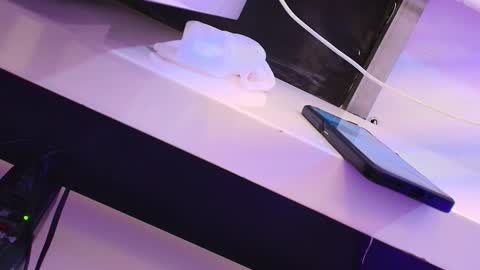 Snapshot of cleeoadams_ chatting on January 2025 07:51:02 AM Cleo Adams online show from January 2025 07:51:02 AM