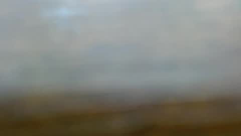 clidefrog555237928 online show from May 2026 09:31:02 PM