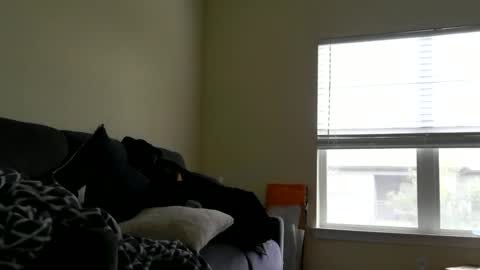 Snapshot of clitcommander26 chatting on December 2024 09:22:02 PM instayour big commander online show from December 2024 09:22:02 PM