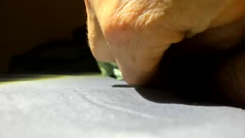 cmen420 online show from January 2026 02:52:02 PM