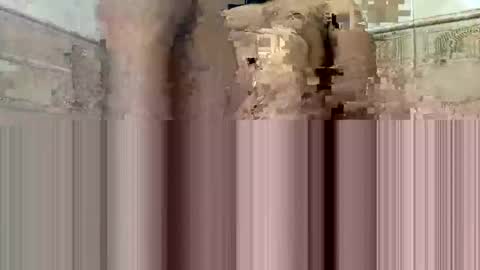 Snapshot of cockdoc4444 chatting on October 2025 05:40:01 AM cockdoc4444 online show from October 2025 05:40:01 AM