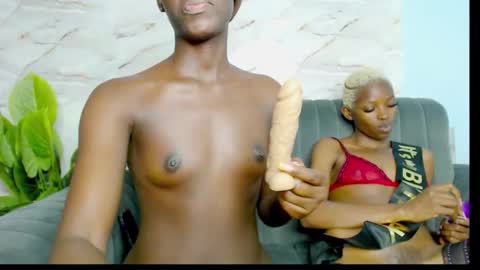 Snapshot of cocoakitty1 chatting on September 2025 01:08:02 AM daniella online show from September 2025 01:08:02 AM